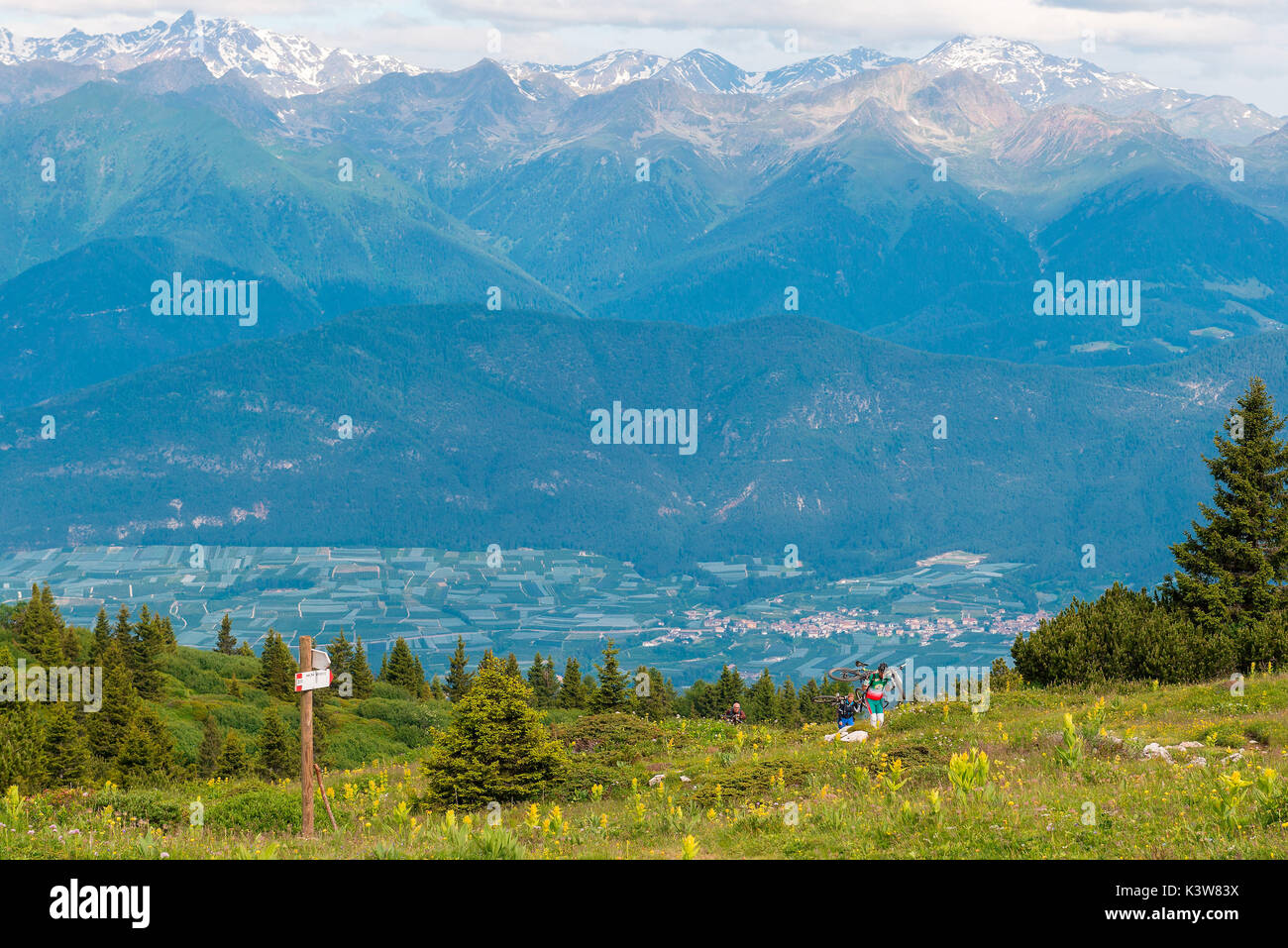 Biker auf Roen Berg, mit einigen Gipfeln der Magdalenen Gruppe immer noch mit Schnee im Hintergrund, Val di Non, Trentino Alto Adige, Italia Stockfoto