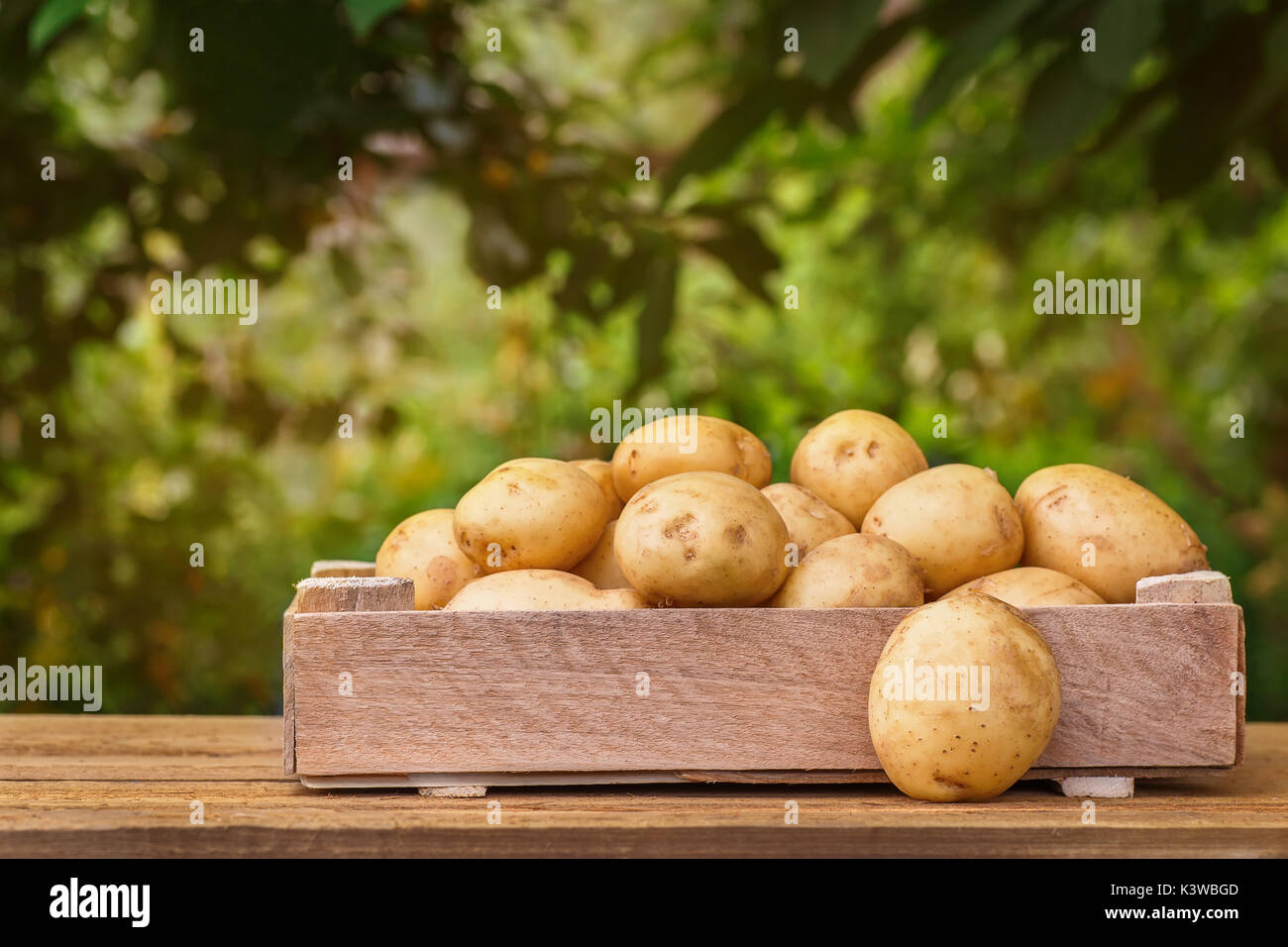 Kartoffeln in Holzkiste Stockfoto