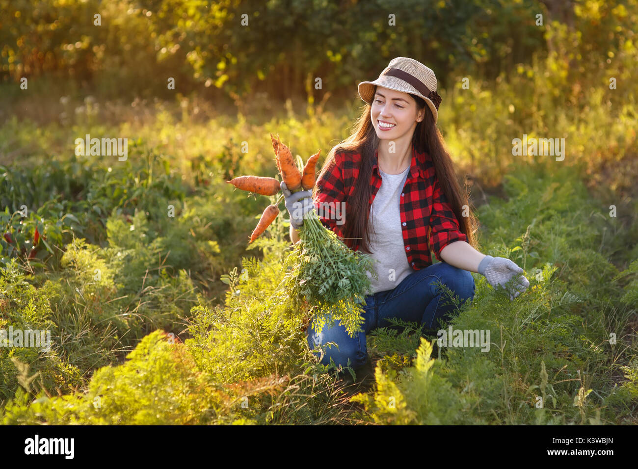 Gärtner mit Karotten in einem Gemüsegarten Stockfoto