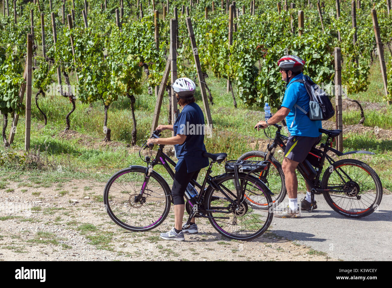 Sobes Weinberg ist der einzigartige und älteste Weinberg in der Tschechischen Republik, Podyjí Nationalpark, Thayatal, in der Nähe von Znojmo, Mährischer Weinpfad mit dem Fahrrad Stockfoto