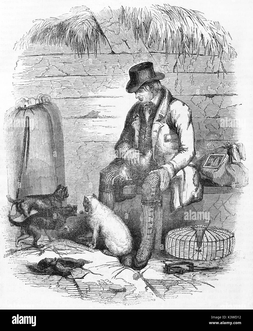 Alte Abbildung eines englischen Maus Catcher. Von unbekannter Autor, auf Magasin Pittoresque, Paris, 1841 veröffentlicht. Stockfoto