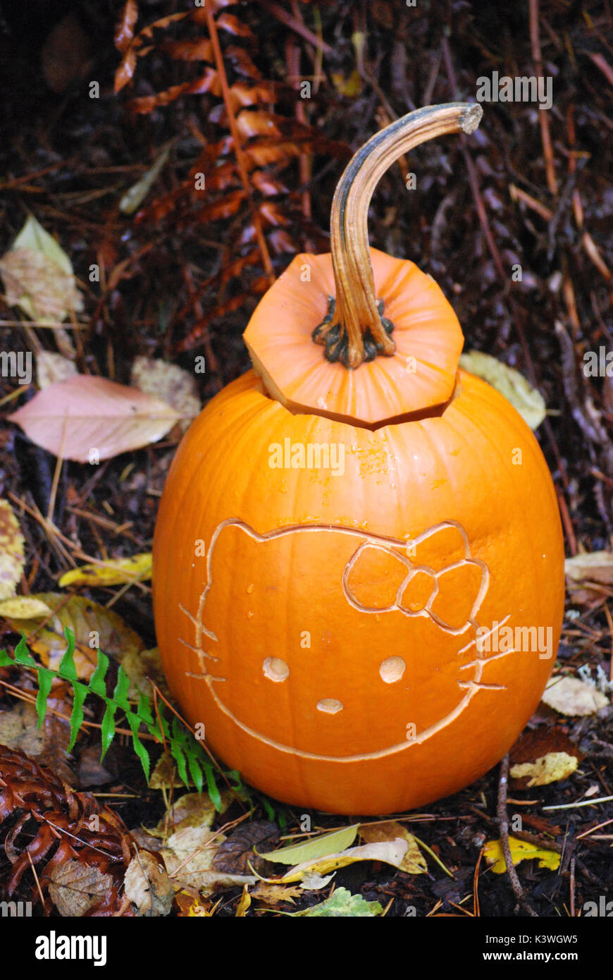 Hello Kitty Jack-o-Lantern Halloween Kürbis Stockfoto