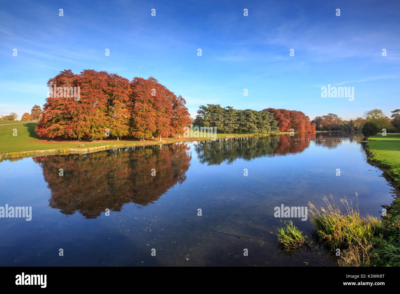 Herbstbäume auf dem Gelände des Blenheim Palace, Oxfordshire, England Stockfoto