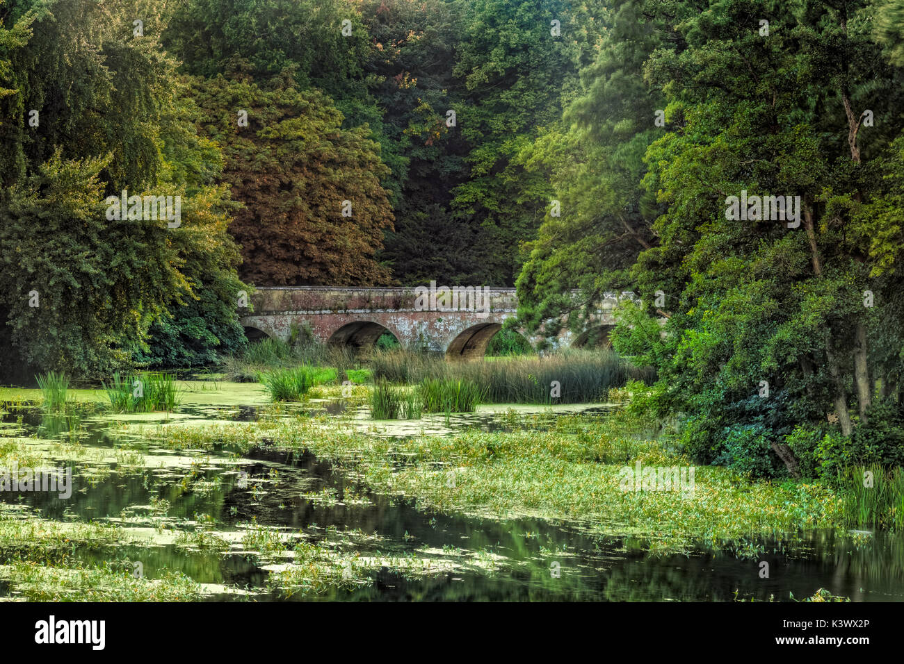 Marsh Lake, Blandford Forum, Dorset, England, Großbritannien Stockfoto