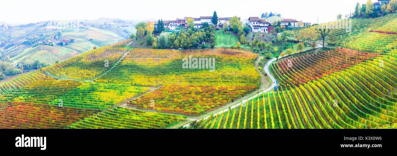 Erstaunlich weite Felder der bunten Weinberge im Piemont - norhen Rebsorten Region in Italien Stockfoto