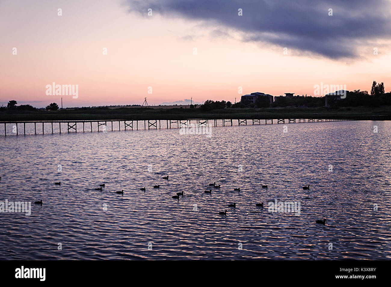 Landschaft Sonnenuntergang über einem See, auf der Enten schwimmen. Stockfoto