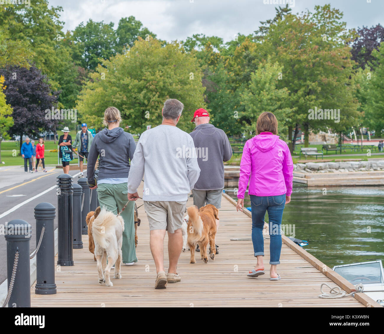 Leute, die ihre Hunde entlang der Couchiching Park Promenade in Orillia Ontario Kanada. Stockfoto