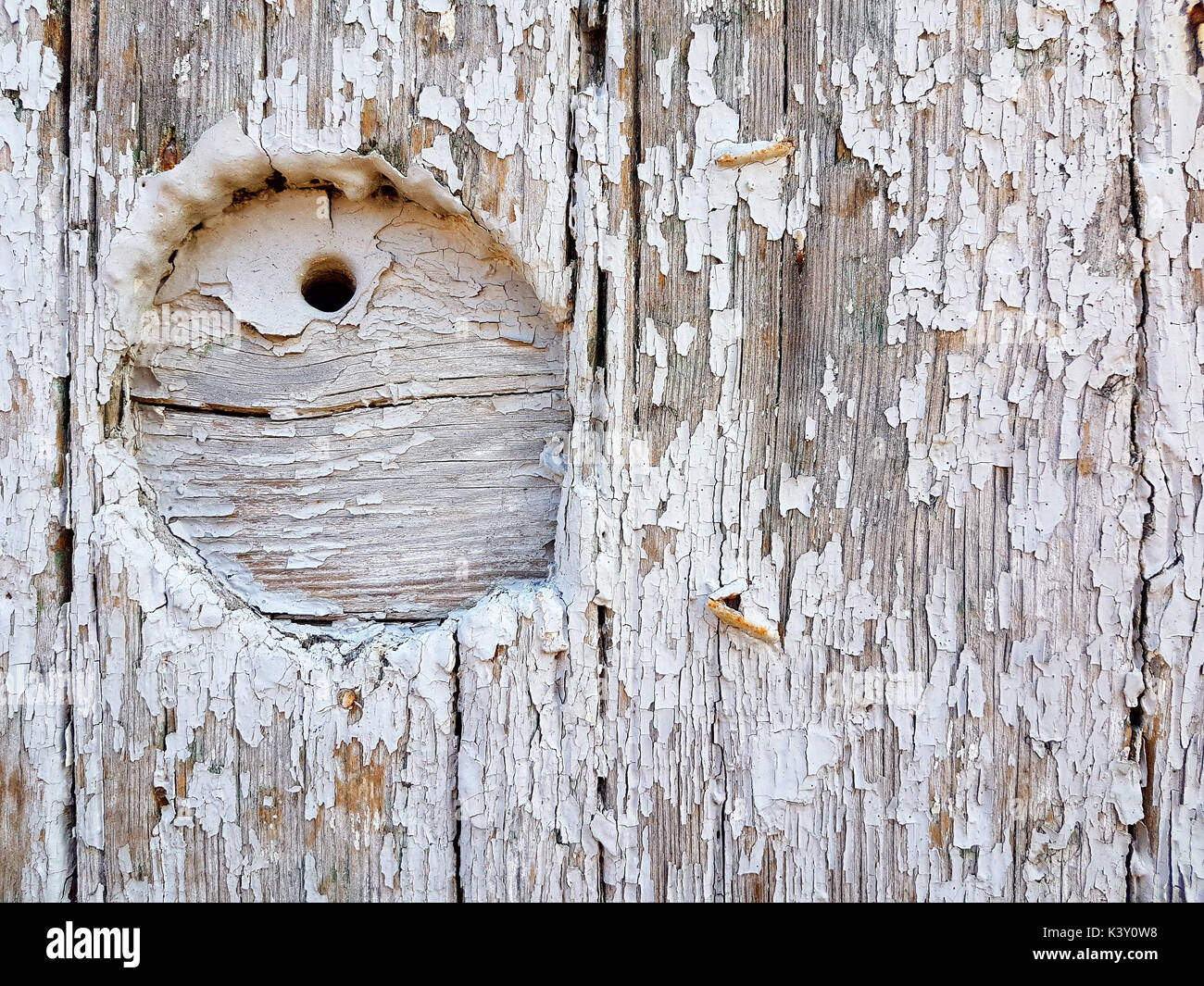 Detaillierte Bild eines alten Tor in Weiß gestrichen. Stockfoto