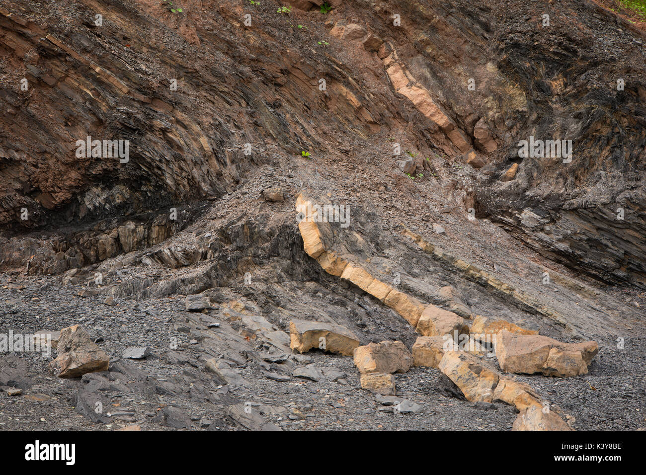 Schichten von Sedimentgestein in der Nähe von Hantsport, Nova Scotia, Kanada Stockfoto