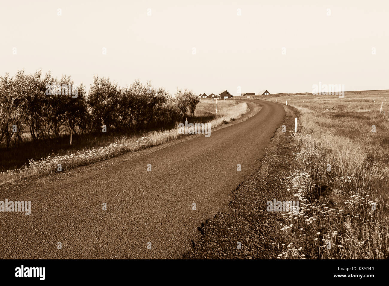 Kleine asphaltierte Straße in Island. Stockfoto
