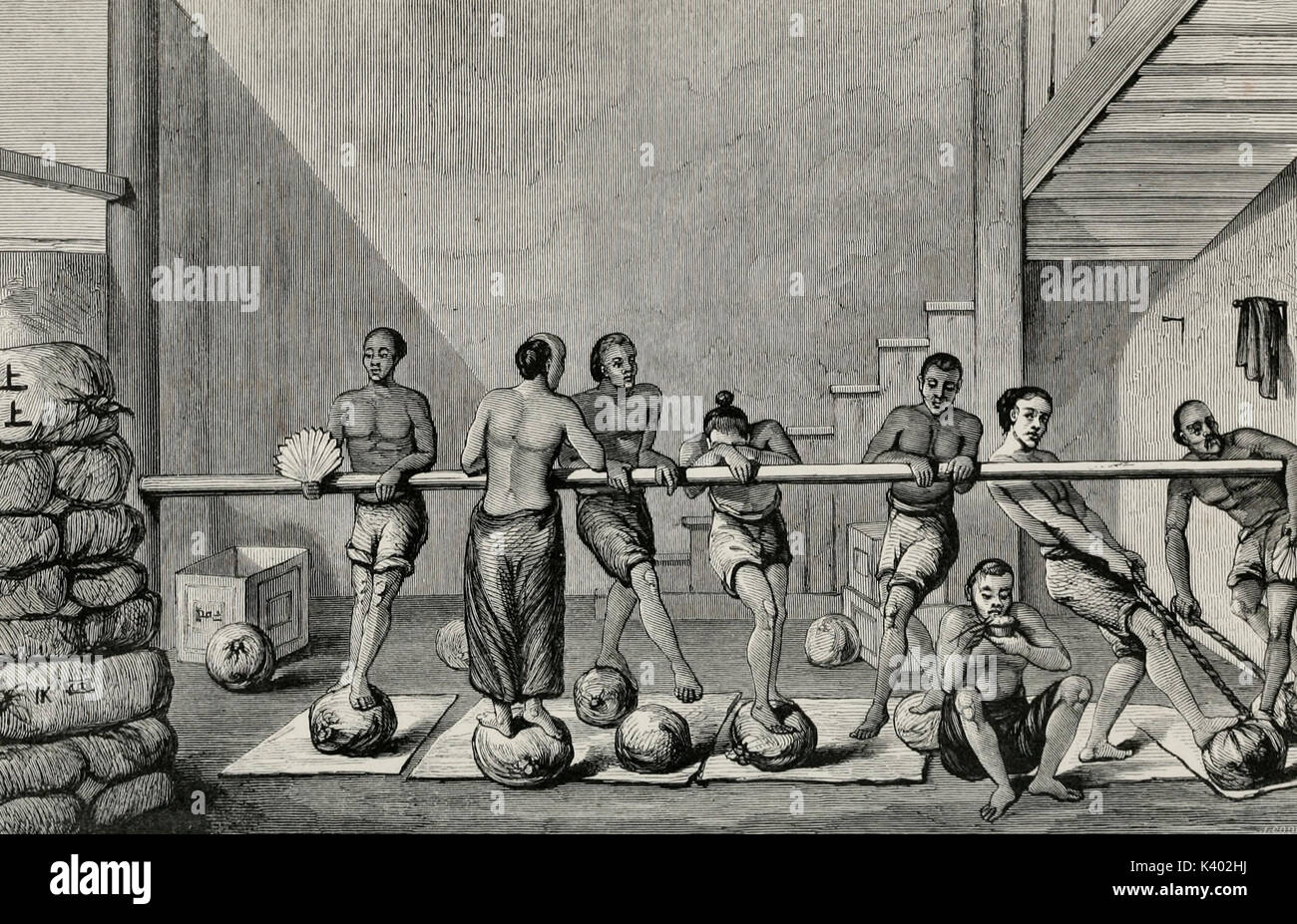 Verfahren zur Herstellung von Caper Tee - China, ca. 1850 Stockfoto