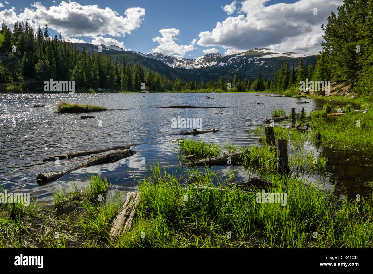 In der Nähe von Nederland, Colorado. Etwas außerhalb von Indian Peaks Wilderness. Stockfoto