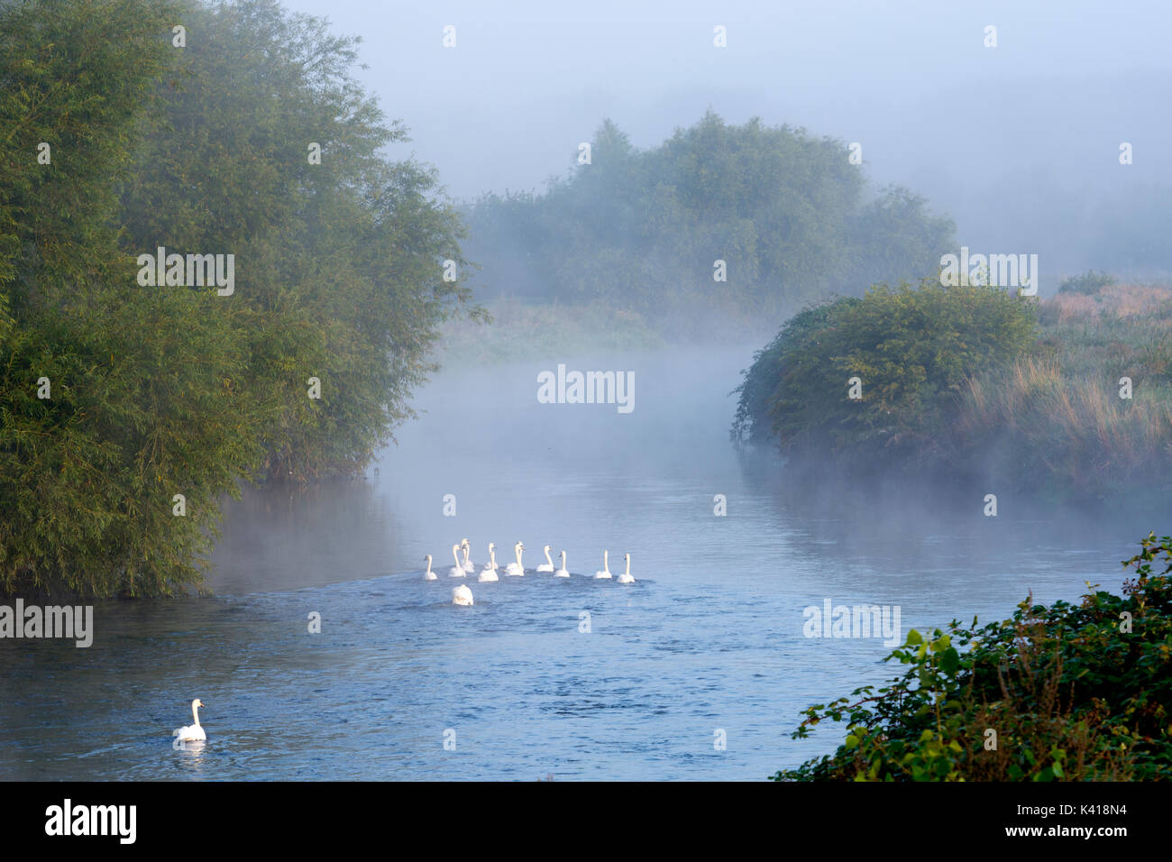 River Tame, am frühen Morgen mit Nebel, Kingsbury, Warwickshire, England, Großbritannien Stockfoto