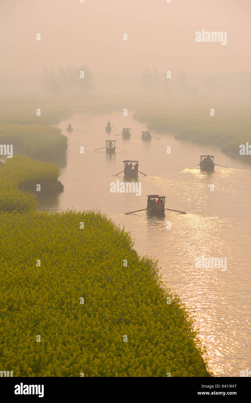 Tretboot Canal in Raps Feld am Morgen, Xinghua, Jiangsu, China Stockfoto