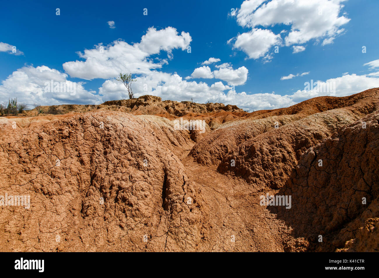 großen Kakteen in rote Wüste, Wüste Tatacoa, Kolumbien, Lateinamerika, Wolken und Sand, roter Sand in der Wüste Stockfoto großen Kakteen in rote Wüste, Wüste Tatacoa, Kolumbien, Lateinamerika, Wolken und Sand, roter Sand in der Wüste Stockfoto