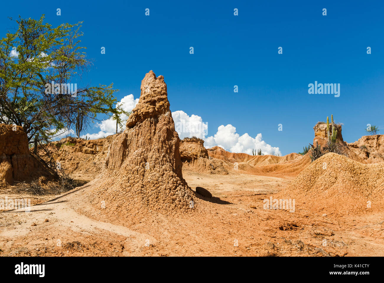 großen Kakteen in rote Wüste, Wüste Tatacoa, Kolumbien, Lateinamerika, Wolken und Sand, roter Sand in der Wüste Stockfoto großen Kakteen in rote Wüste, Wüste Tatacoa, Kolumbien, Lateinamerika, Wolken und Sand, roter Sand in der Wüste Stockfoto