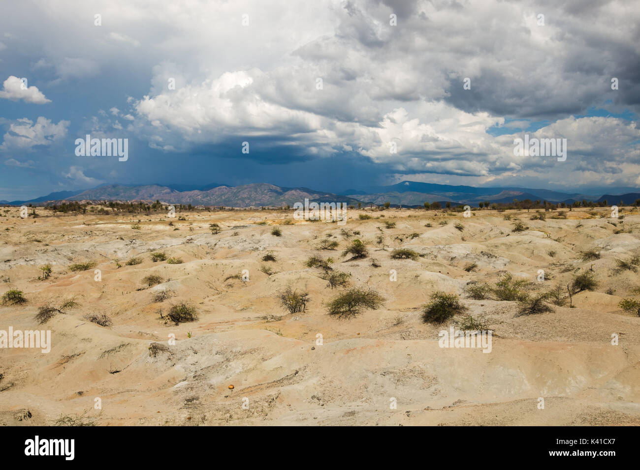 großen Kakteen in rote Wüste, Wüste Tatacoa, Kolumbien, Lateinamerika, Wolken und Sand, roter Sand in der Wüste Stockfoto großen Kakteen in rote Wüste, Wüste Tatacoa, Kolumbien, Lateinamerika, Wolken und Sand, roter Sand in der Wüste Stockfoto