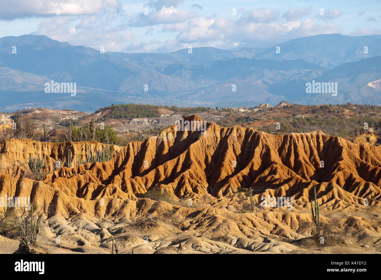 großen Kakteen in rote Wüste, Wüste Tatacoa, Kolumbien, Lateinamerika, Wolken und Sand, roter Sand in der Wüste Stockfoto großen Kakteen in rote Wüste, Wüste Tatacoa, Kolumbien, Lateinamerika, Wolken und Sand, roter Sand in der Wüste Stockfoto