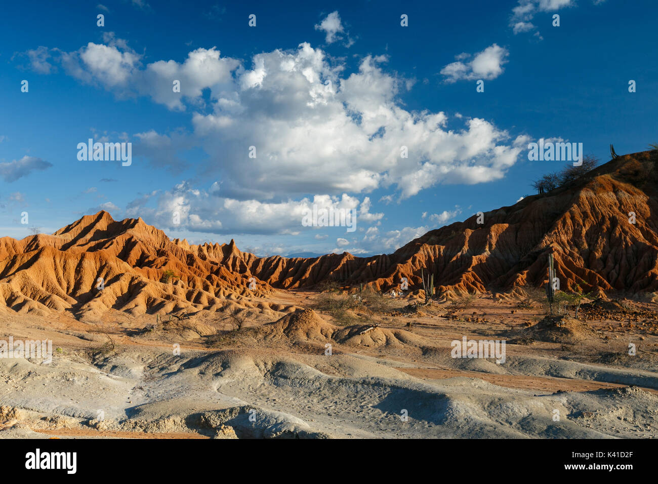 großen Kakteen in rote Wüste, Wüste Tatacoa, Kolumbien, Lateinamerika, Wolken und Sand, roter Sand in der Wüste Stockfoto großen Kakteen in rote Wüste, Wüste Tatacoa, Kolumbien, Lateinamerika, Wolken und Sand, roter Sand in der Wüste Stockfoto