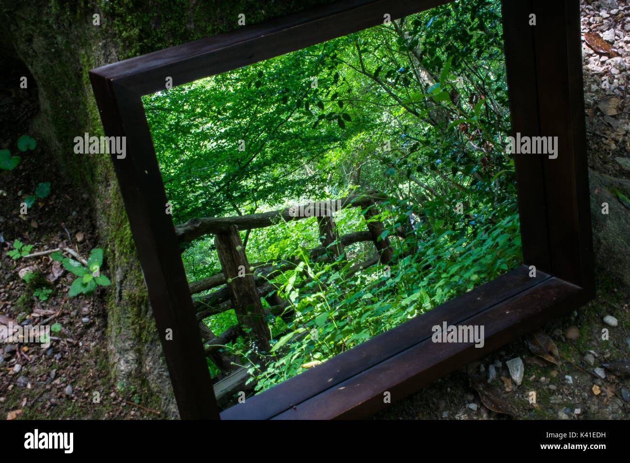 Brücke im Spiegel Stockfoto