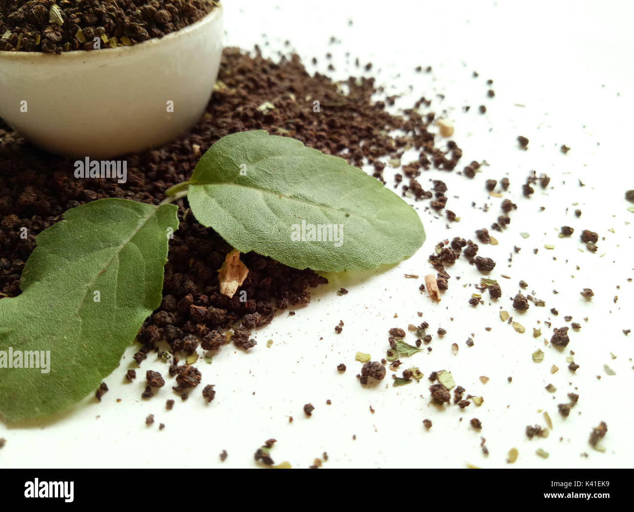 Teeblätter mit Basilikum Blatt Stockfoto