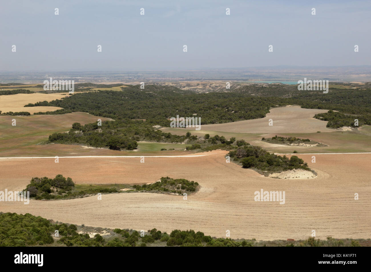 Eine Landschaft von kultivierten Maisfelder in Aragon, Spanien Stockfoto