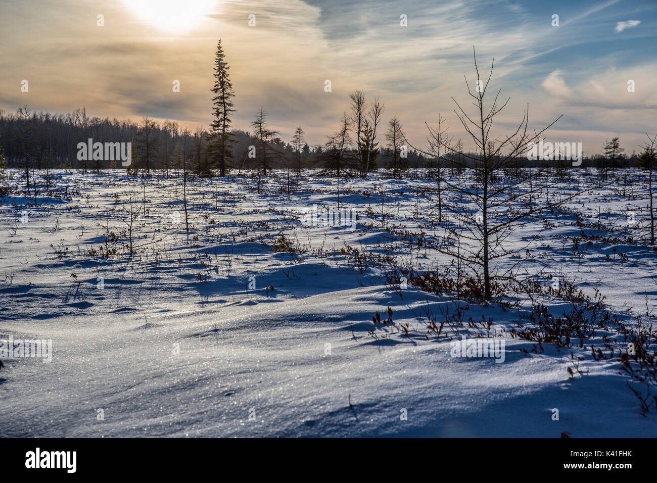 Winter Sonnenuntergang auf dem Moor Stockfoto