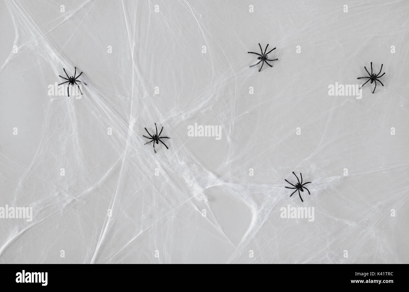Halloween Dekoration der schwarzen Spielzeug Spinnen auf der web Stockfoto