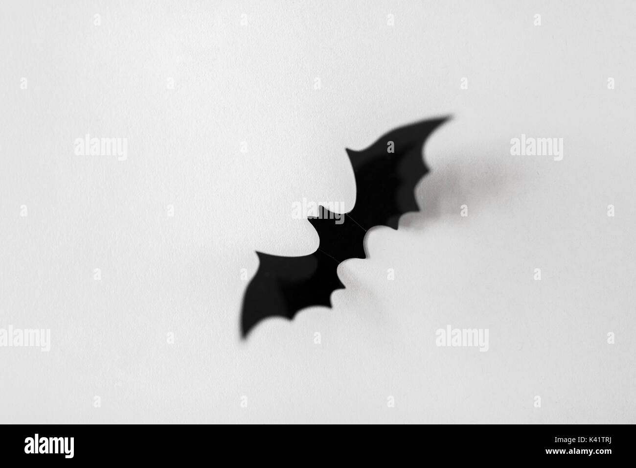 Halloween Dekoration der schwarzen Fledermaus auf Weiß Stockfoto