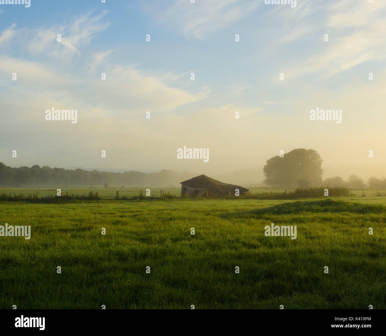 Zoo-Tiere Stockfoto