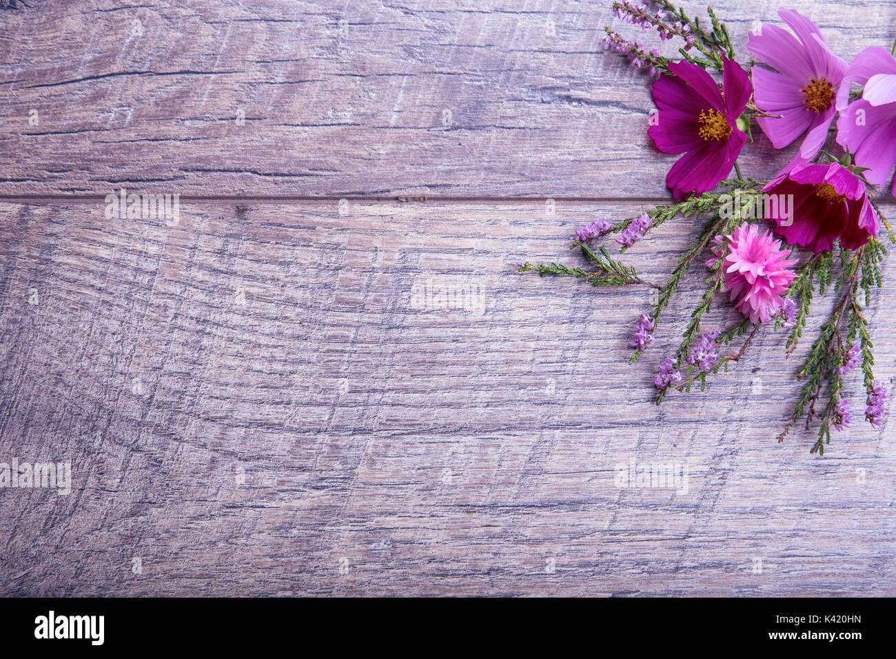 Ein Bouquet von rosa und lila Blumen cosmea oder Cosmos mit Band auf rustikalen hölzernen Brettern. Kopieren Sie Platz. Mutter, Valentines, Frauen, Hochzeit Konzept Stockfoto