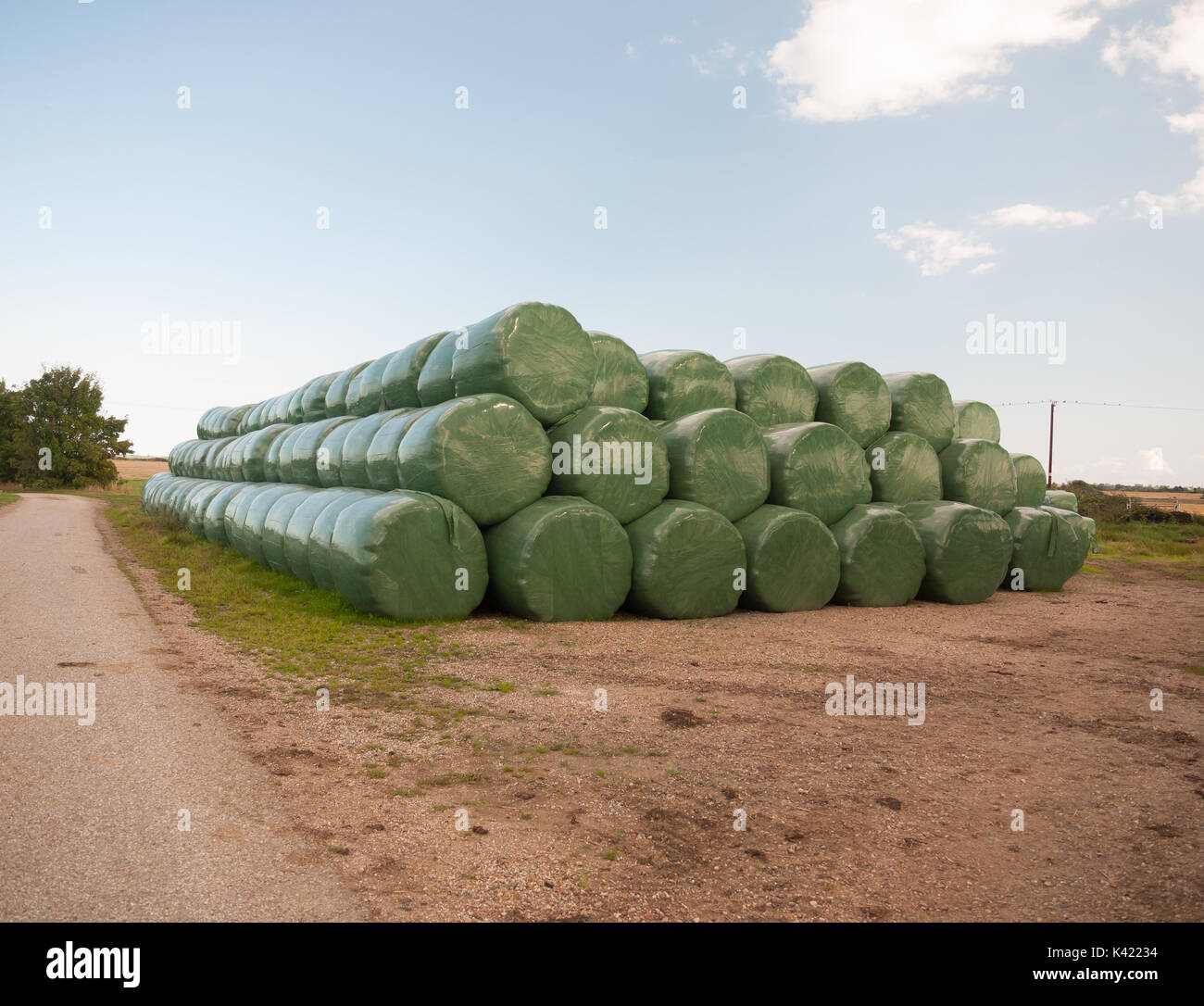 Ein Haufen von industriellen grün Kunststoff verpackt Ballen Heu, Weizen, Essex, England, Großbritannien Stockfoto