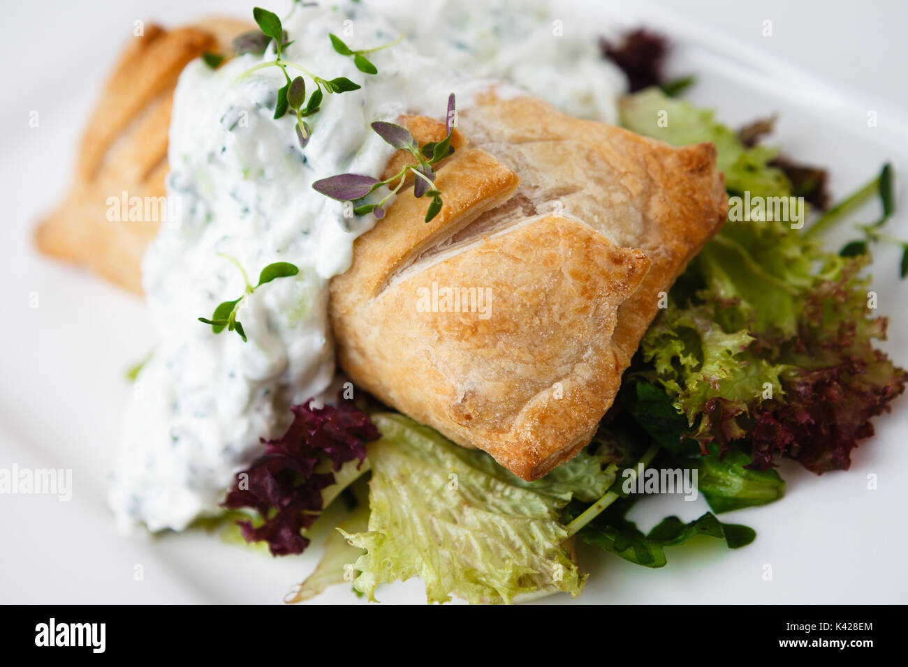 Traditionelle russische pie Stockfoto