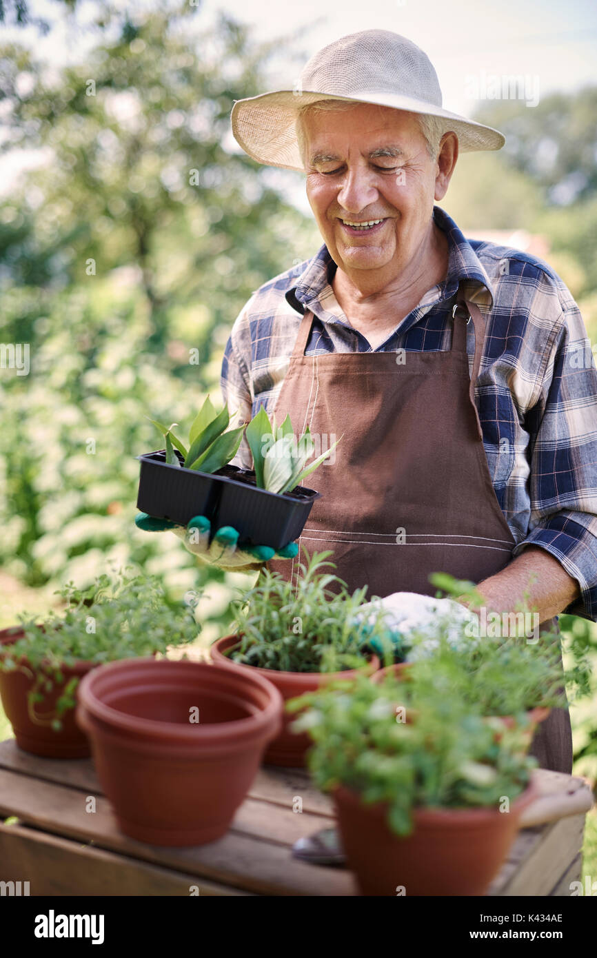 Die Gartenarbeit ist Hobby der älteren Menschen Stockfoto