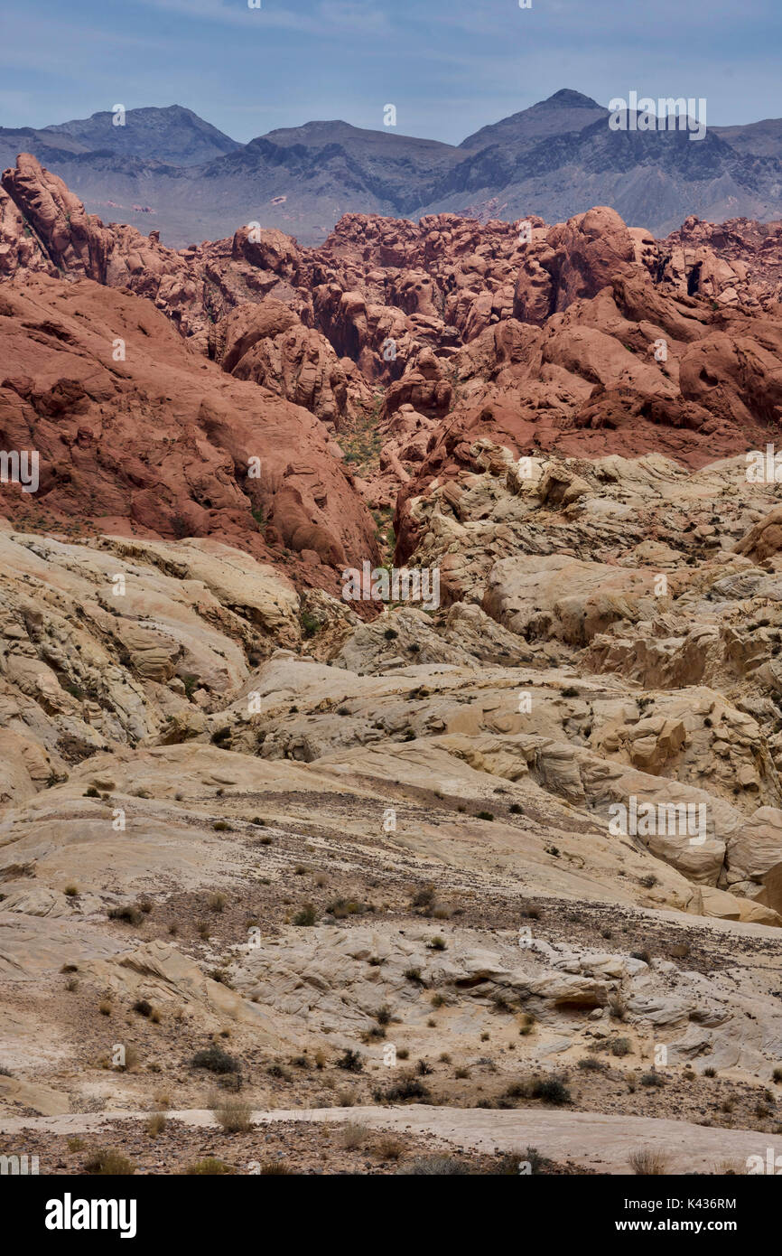 Ansicht in der Valley of Fire State Park Stockfoto