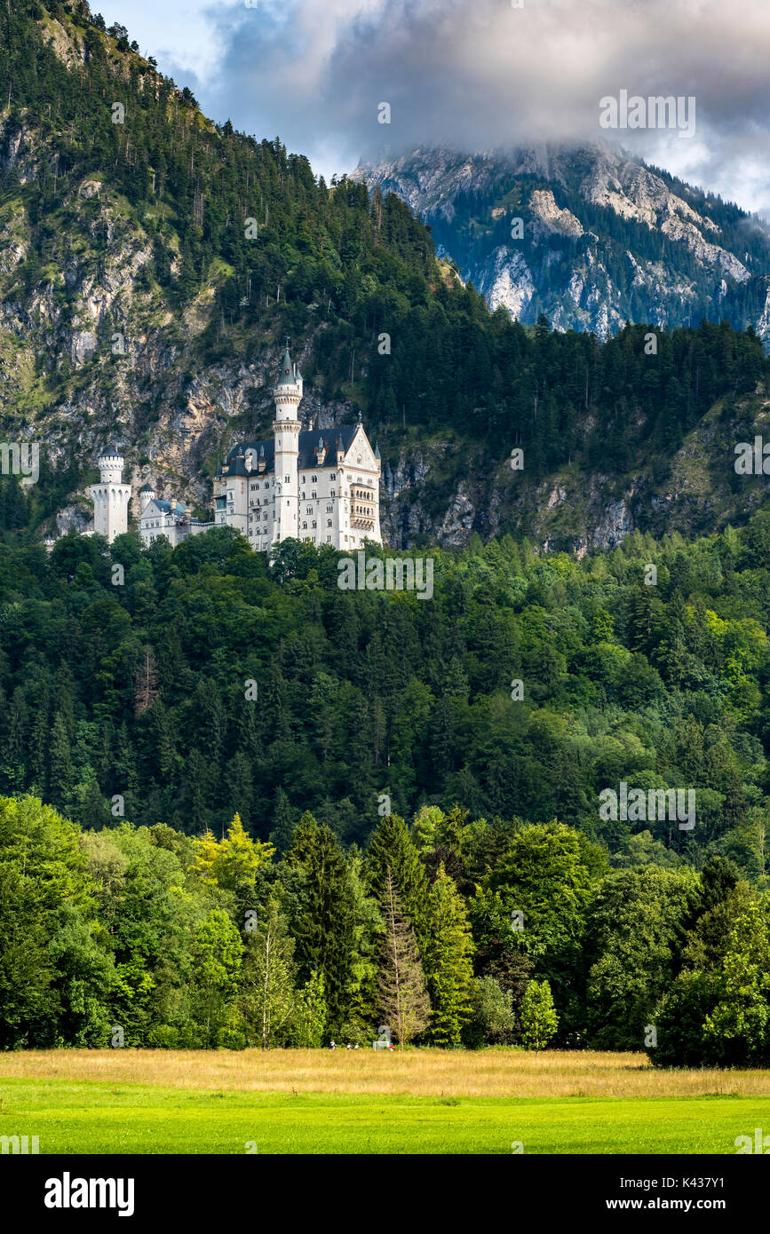 Schloss Neuschwanstein oder Schloss Neuschwanstein, Schwangau, Bayern, Deutschland Stockfoto