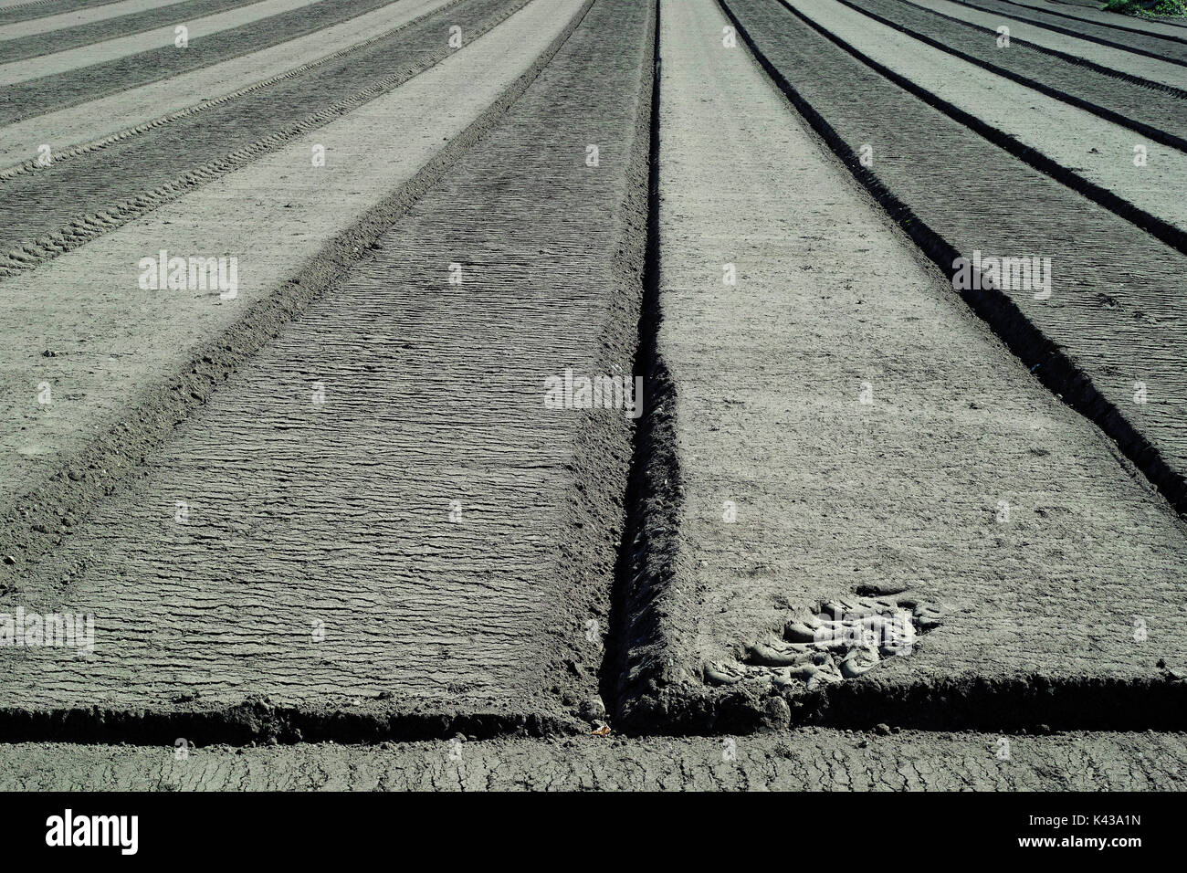 Gepflügte Feld für den Winter, Deutschland bereit. Stockfoto