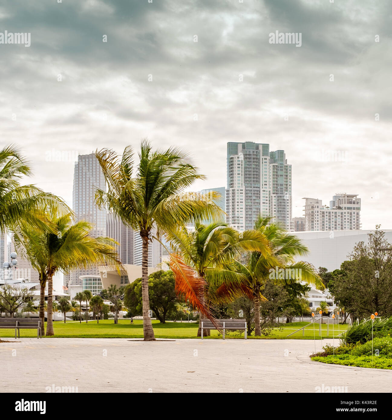 Blick auf Downtown Miami in einem bewölkten und windigen Tag. Stockfoto