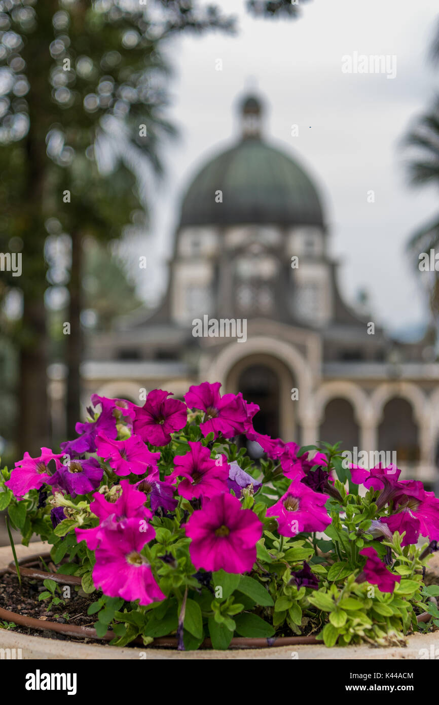 Blumen mit Tempel der Seligpreisungen Stockfoto