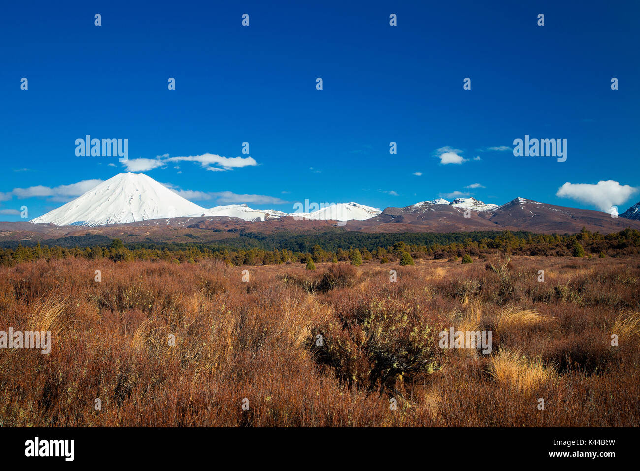 Kreuzung er Tongariro National Park durch die Wüste Straße. Neuseeland, Nordinsel Stockfoto