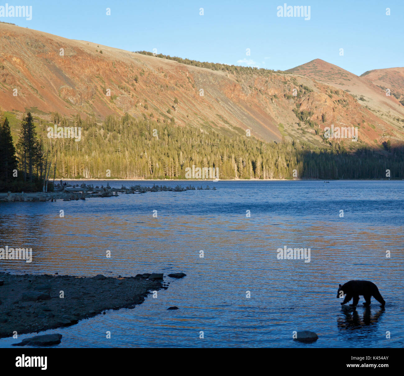 Black Bear Lake Mary bei Mammoth Lakes Becken Silhouette bei Sonnenuntergang Stockfoto