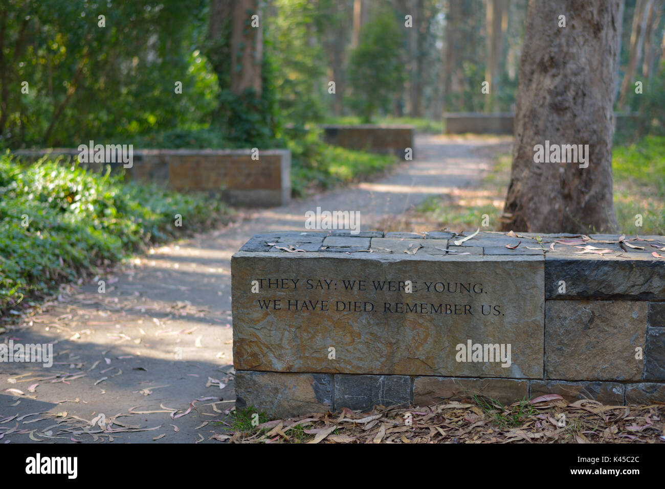 Soldaten Denkmal an der San Francisco Nationalfriedhof, Presidio CA Stockfoto