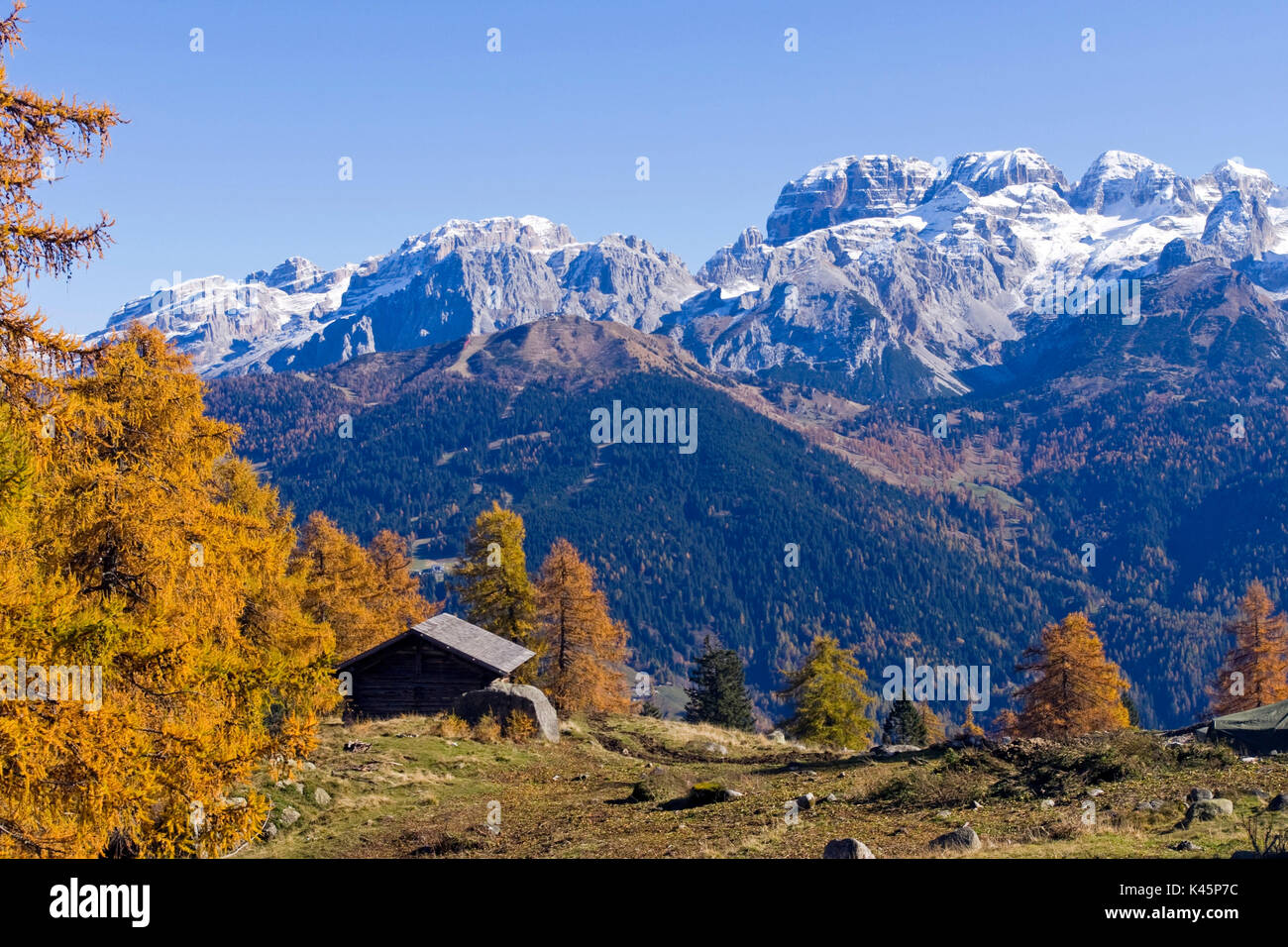 Europa, Italien, Trentino, Adamello Brenta Park. Hütte im Herbst. Stockfoto