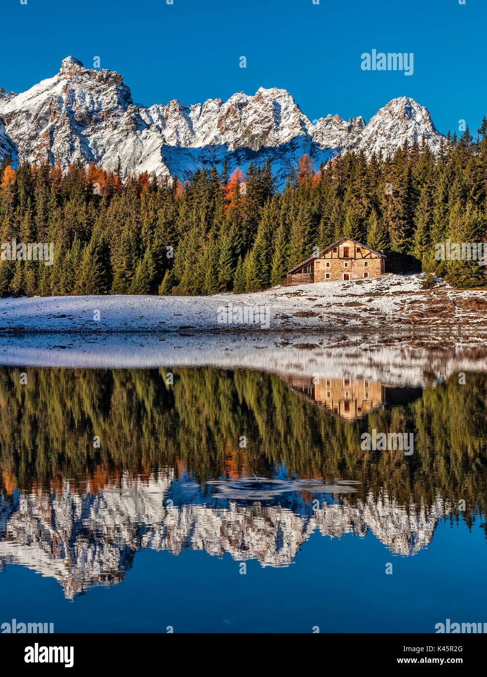 Palù See, Reflexion, Herbst, valtellina, Lombardei, Italien, Stockfoto