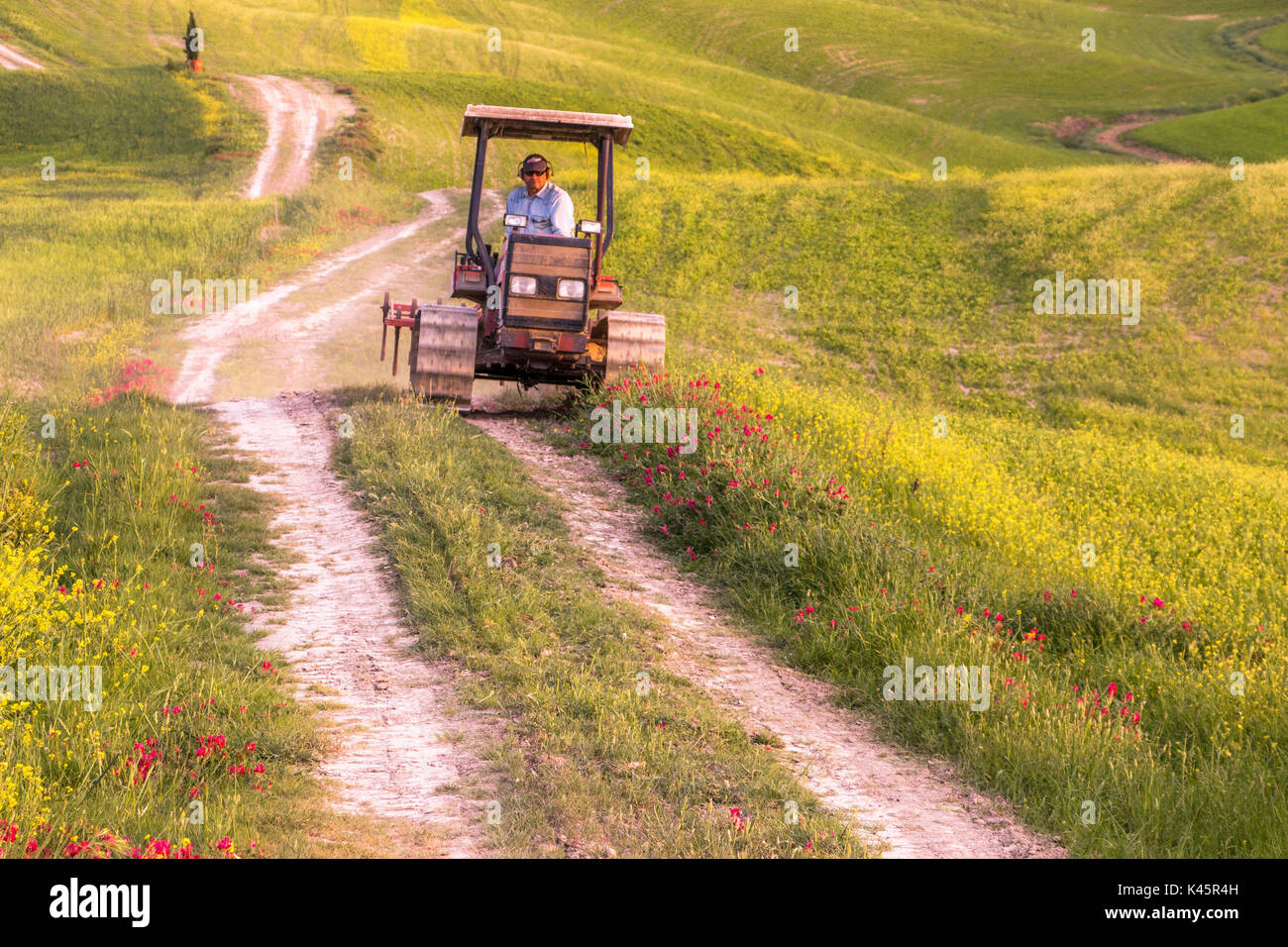 Ein Traktor auf der Straße in der toskanischen Hügel - San Quirico d'Orcia Provinz Siena, Toskana (Val d'Orcia), Italien, Europa Stockfoto