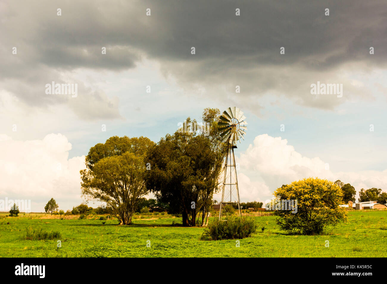 Veld, Parys, Provinz Freistaat, Südafrika, Afrika. Windmühle in die Landschaft. Stockfoto