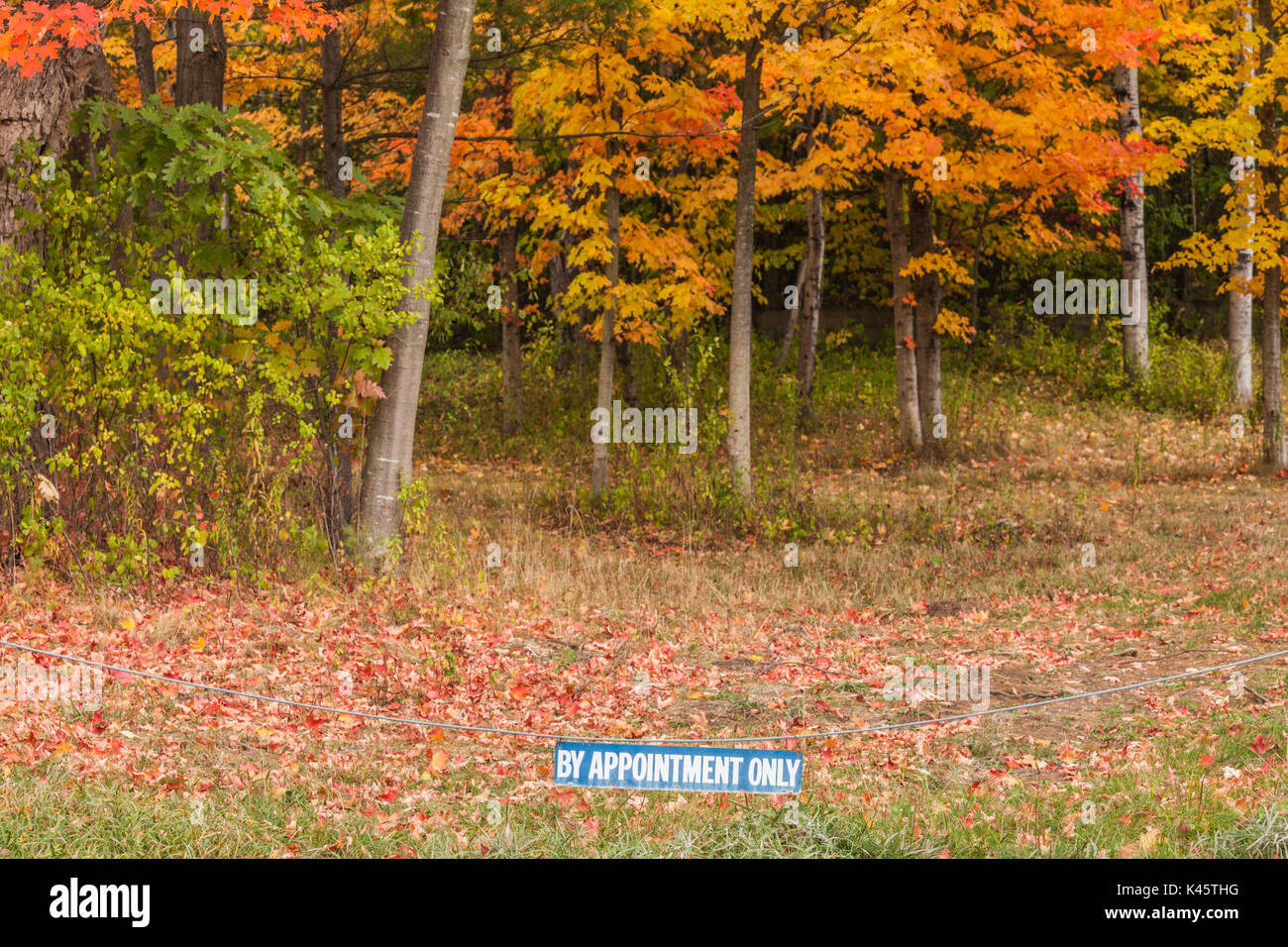USA, New York, Adirondack Mountains, Clintonville, nur nach Vereinbarung unterzeichnen, Herbst Stockfoto