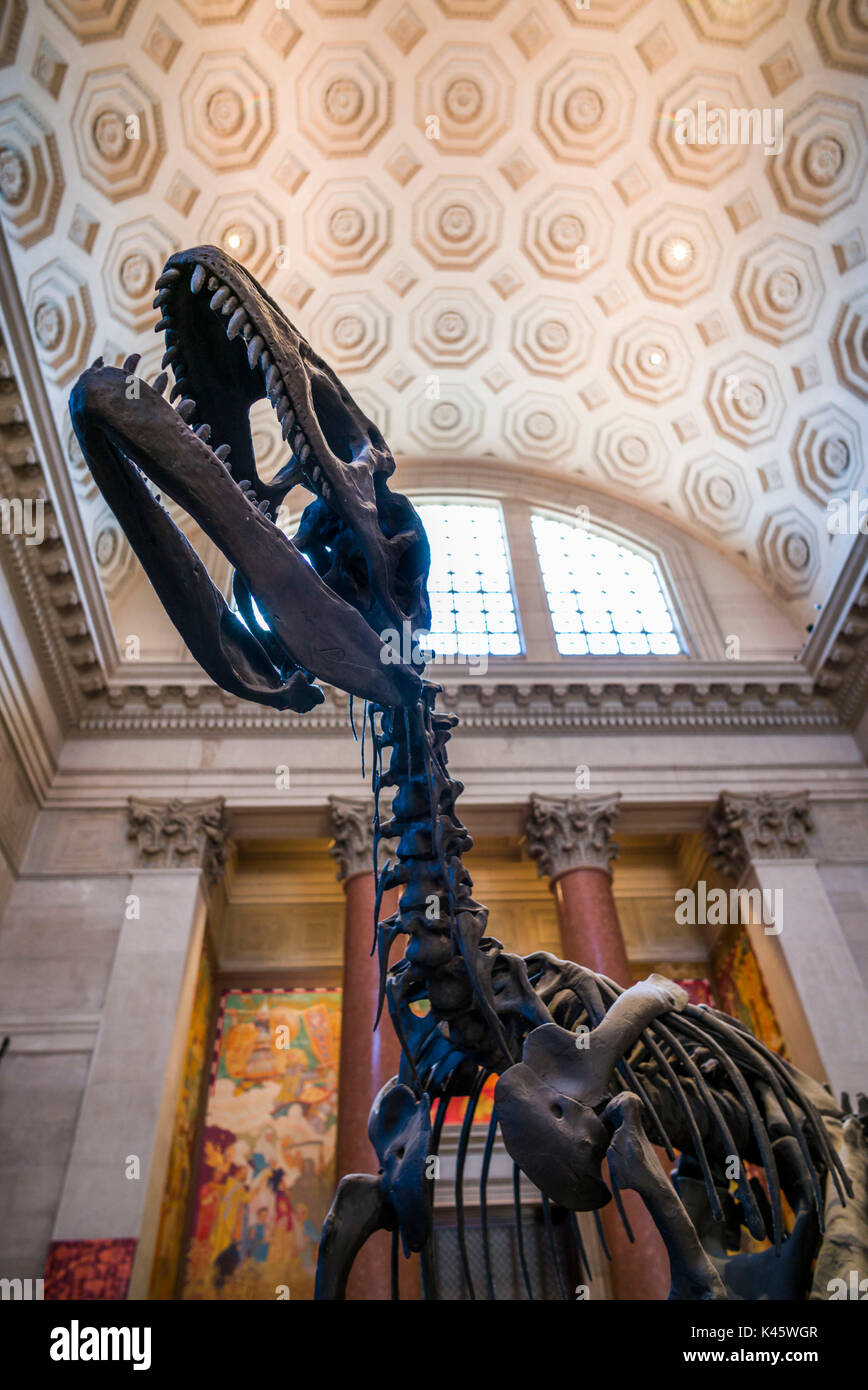 USA, New York, New York City, Upper West Side, Museum der Naturgeschichte, Lobby mit Dinosaurier Stockfoto