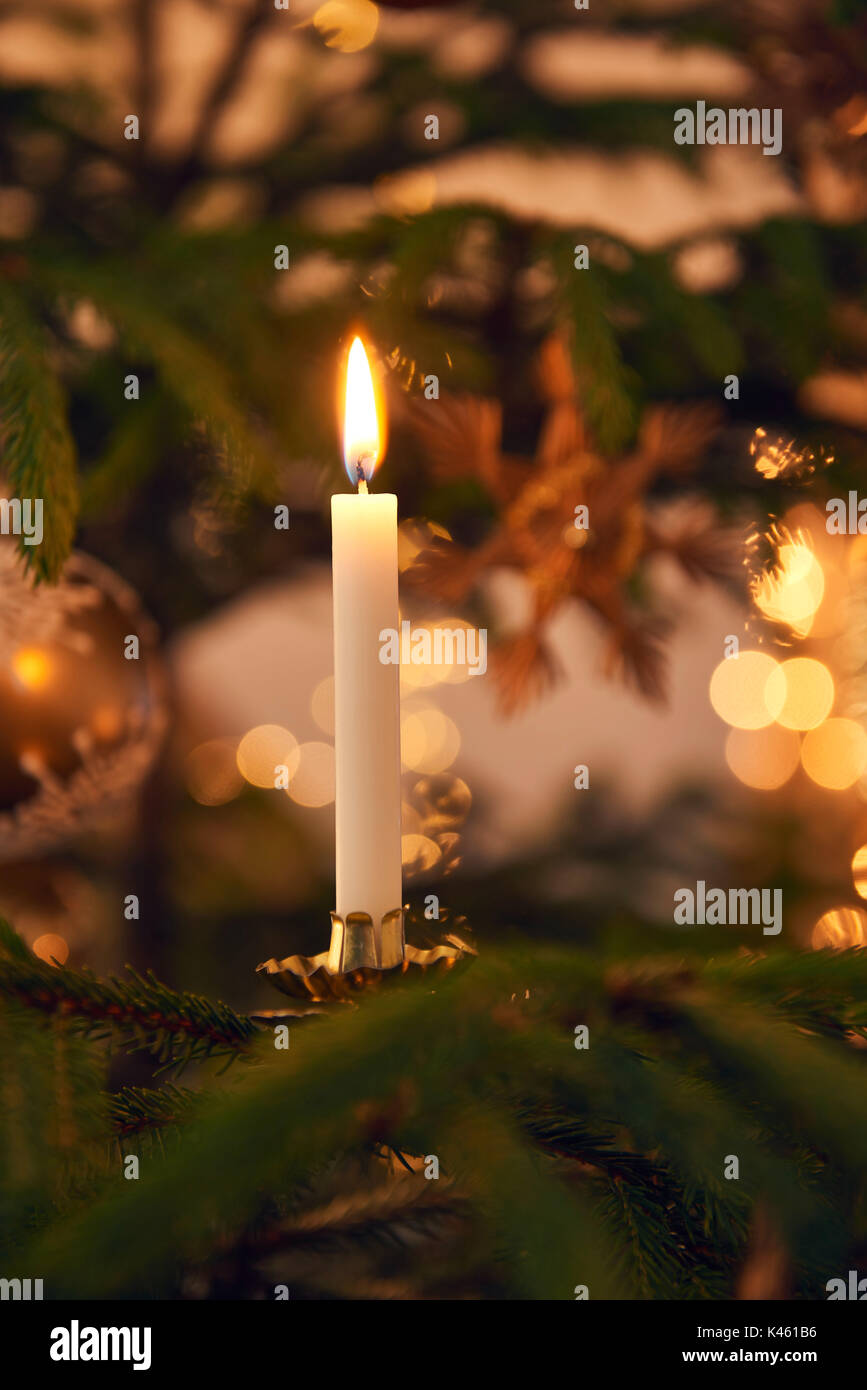 Weihnachtsbaum mit brennenden Kerze, noch Leben Weihnachten Stockfoto