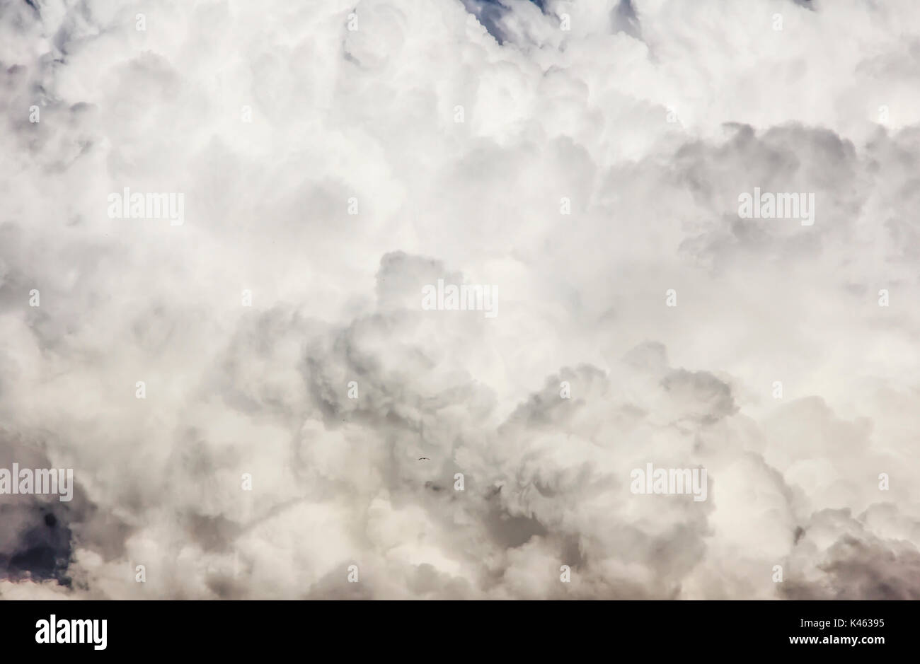 Hohe Detailtreue flauschige cumuli Cloud strukturierten Hintergrund Stockfoto